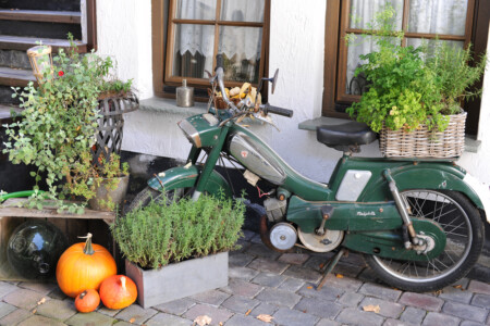 nur Dekoration ;-) nur Dekoration ;-)