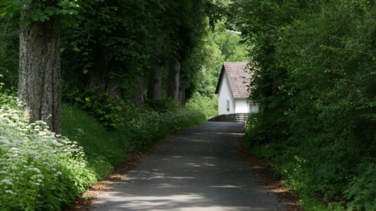Kein langer Weg Kein langer Weg